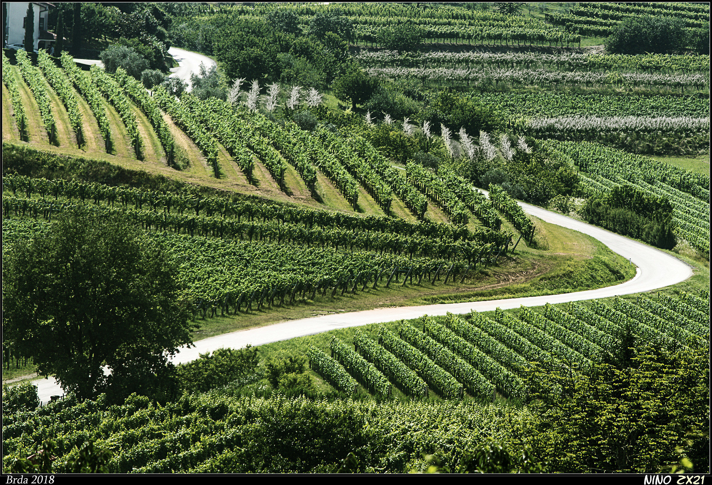 Collio, Slovenian side