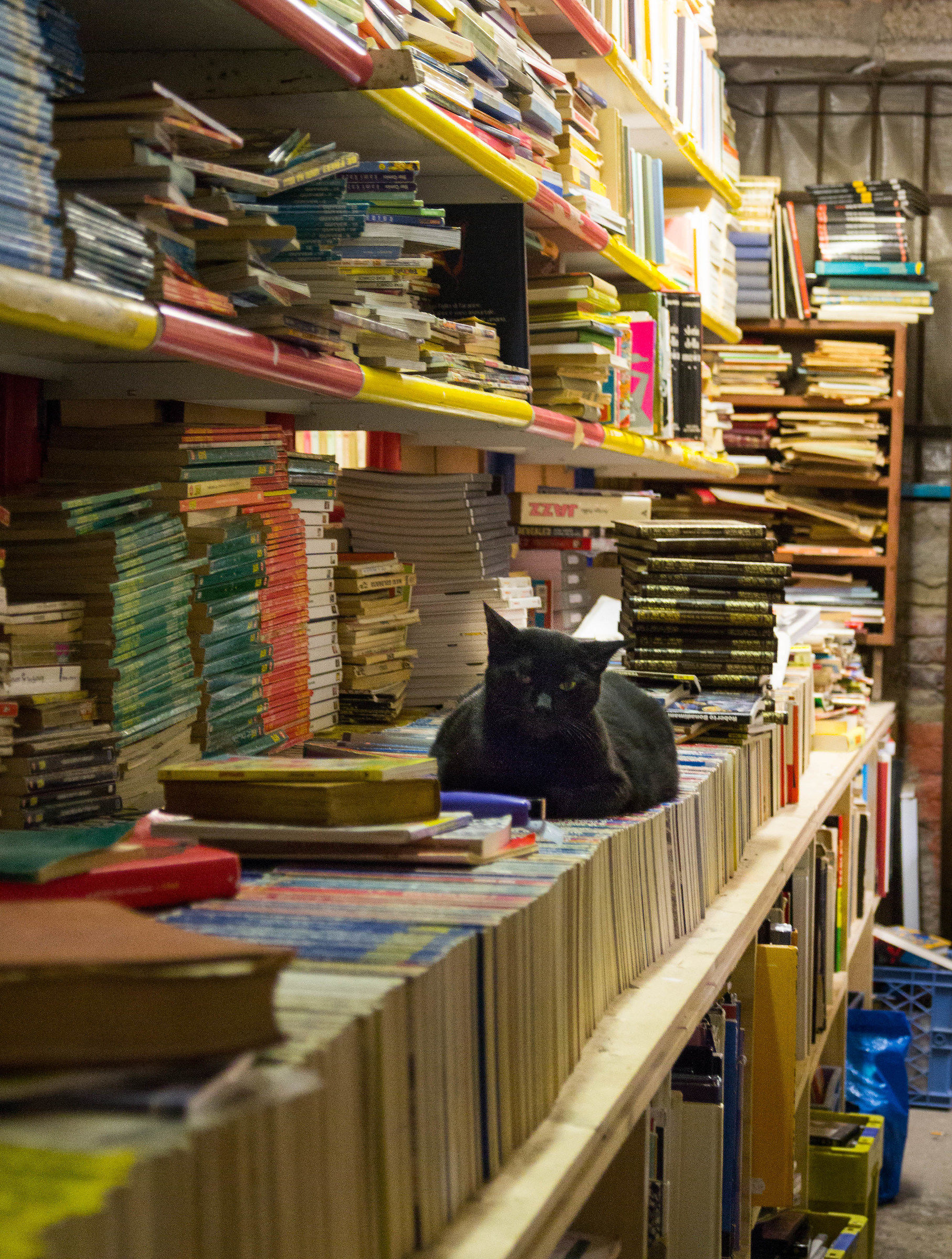 I libri servono sempre