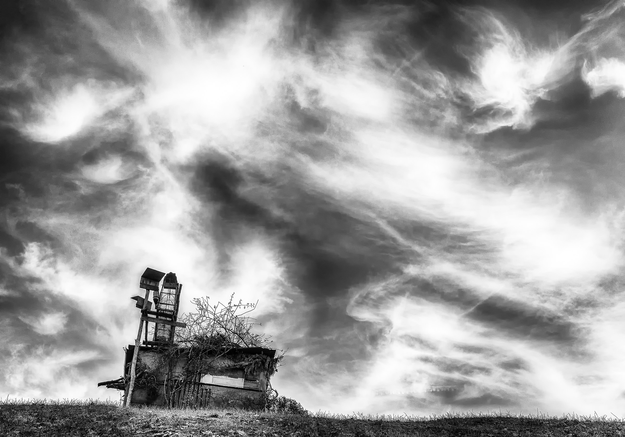 In cima alla collina