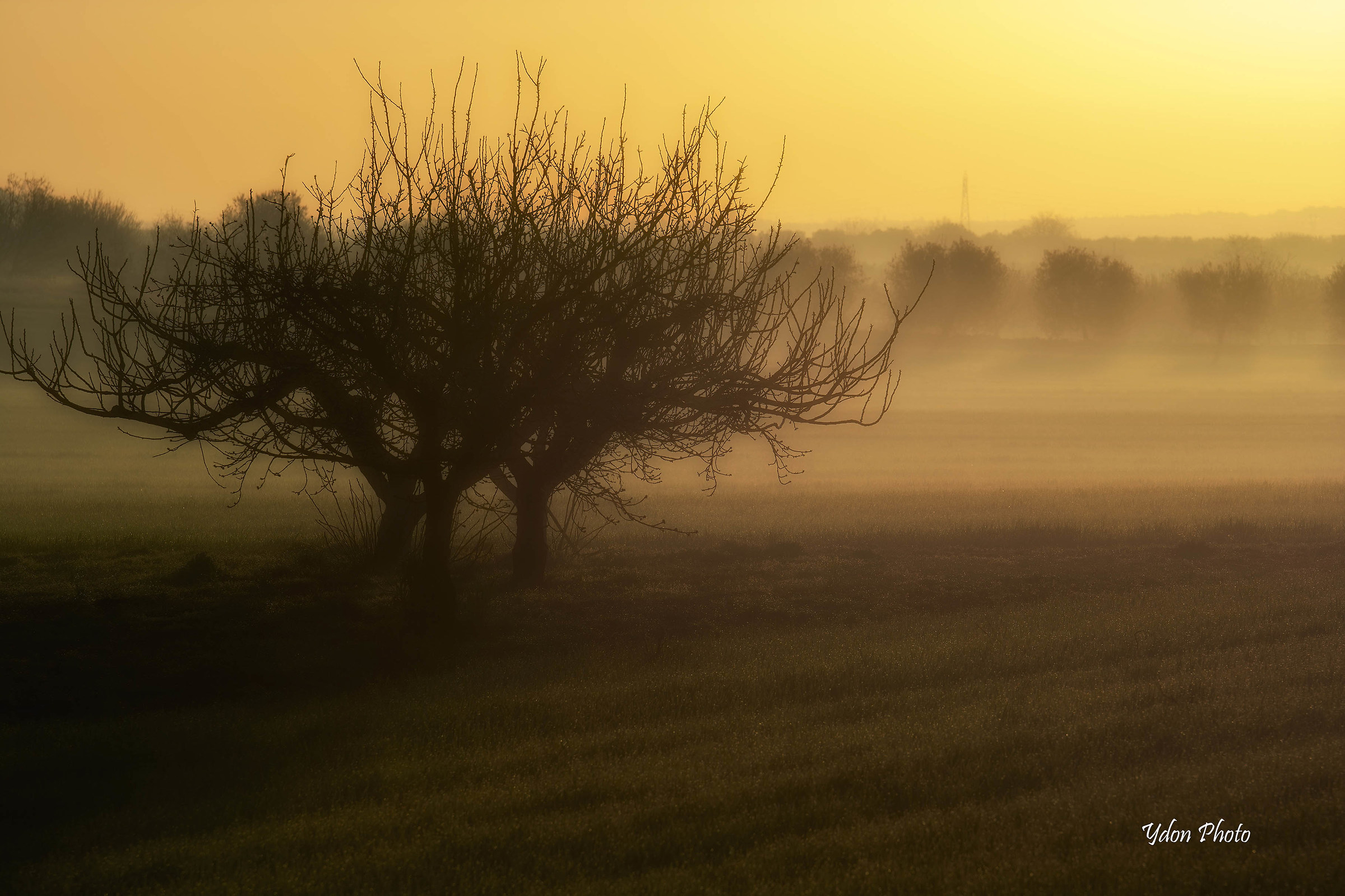 alba invernale