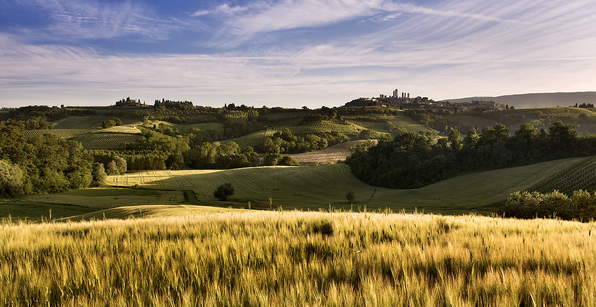 Colline senesi