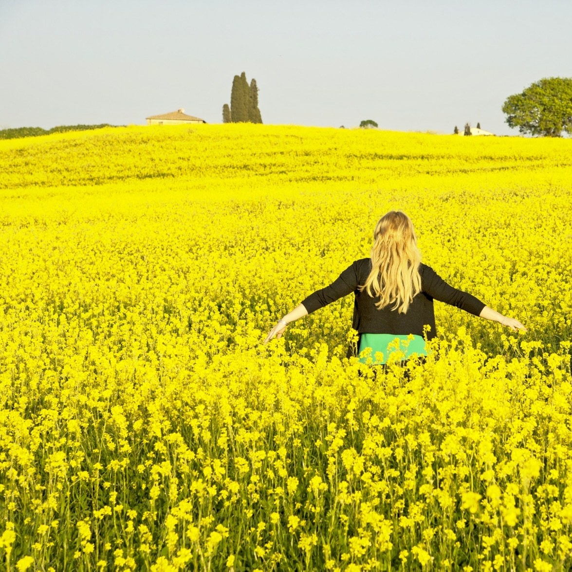 Yellow field