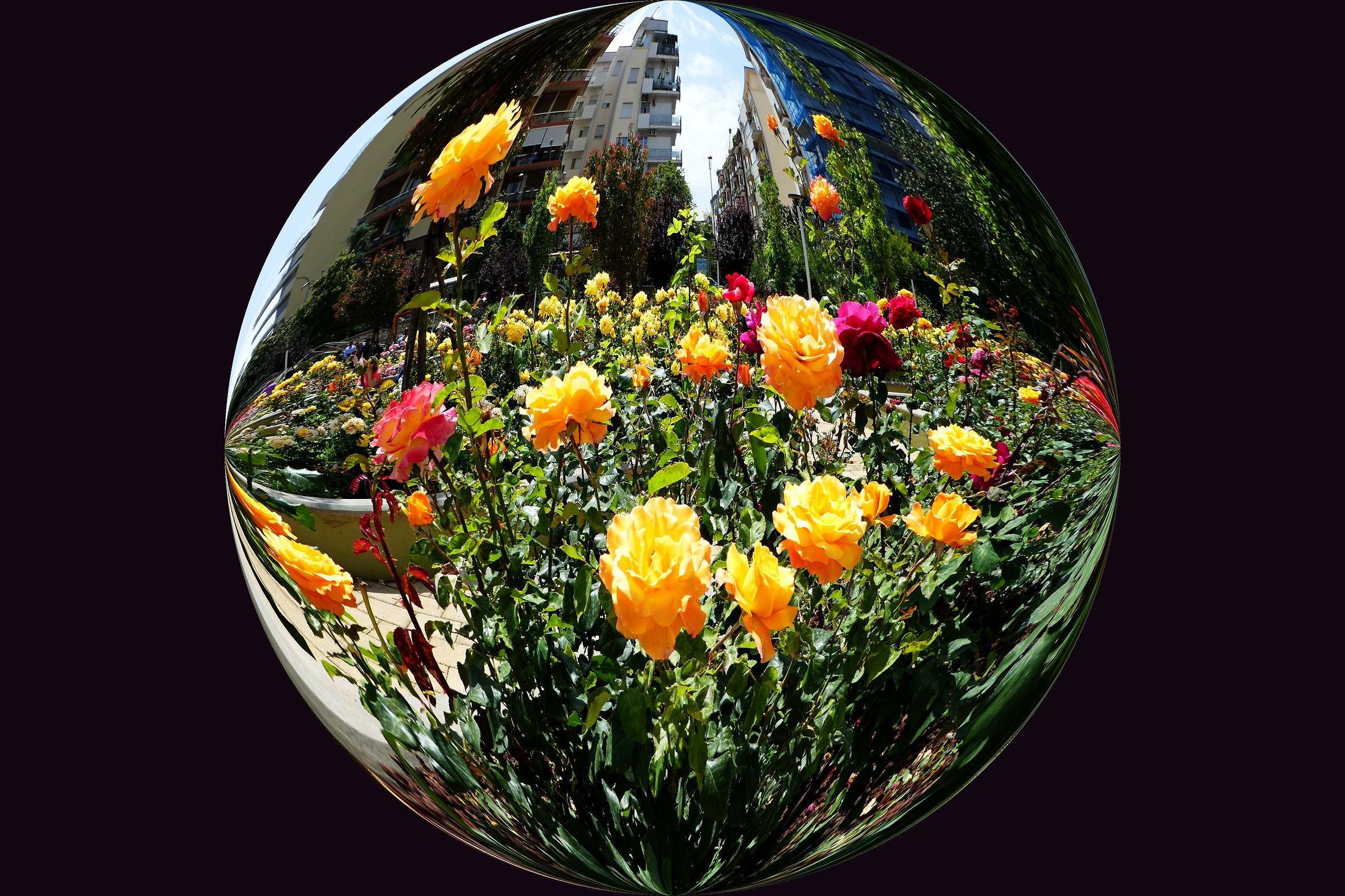 La citta' che vorremmo