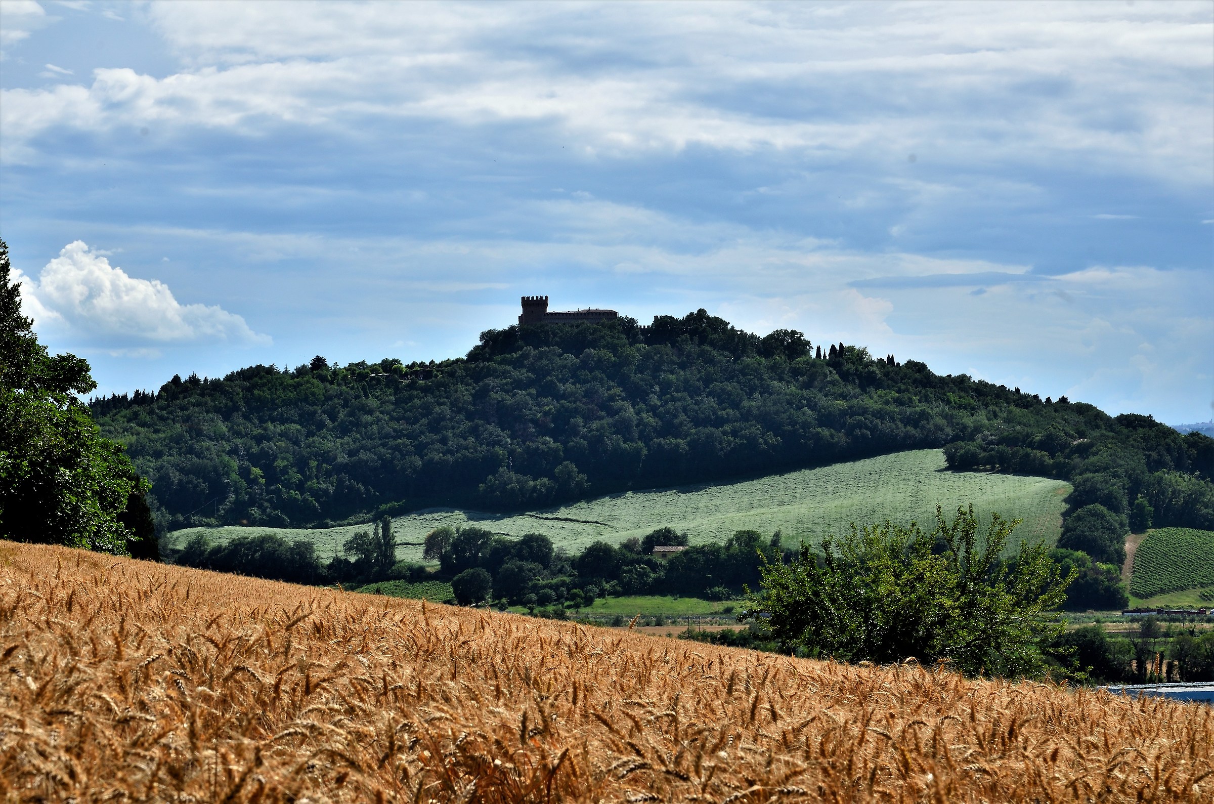 Campagna marchigiana con castello di Gradara