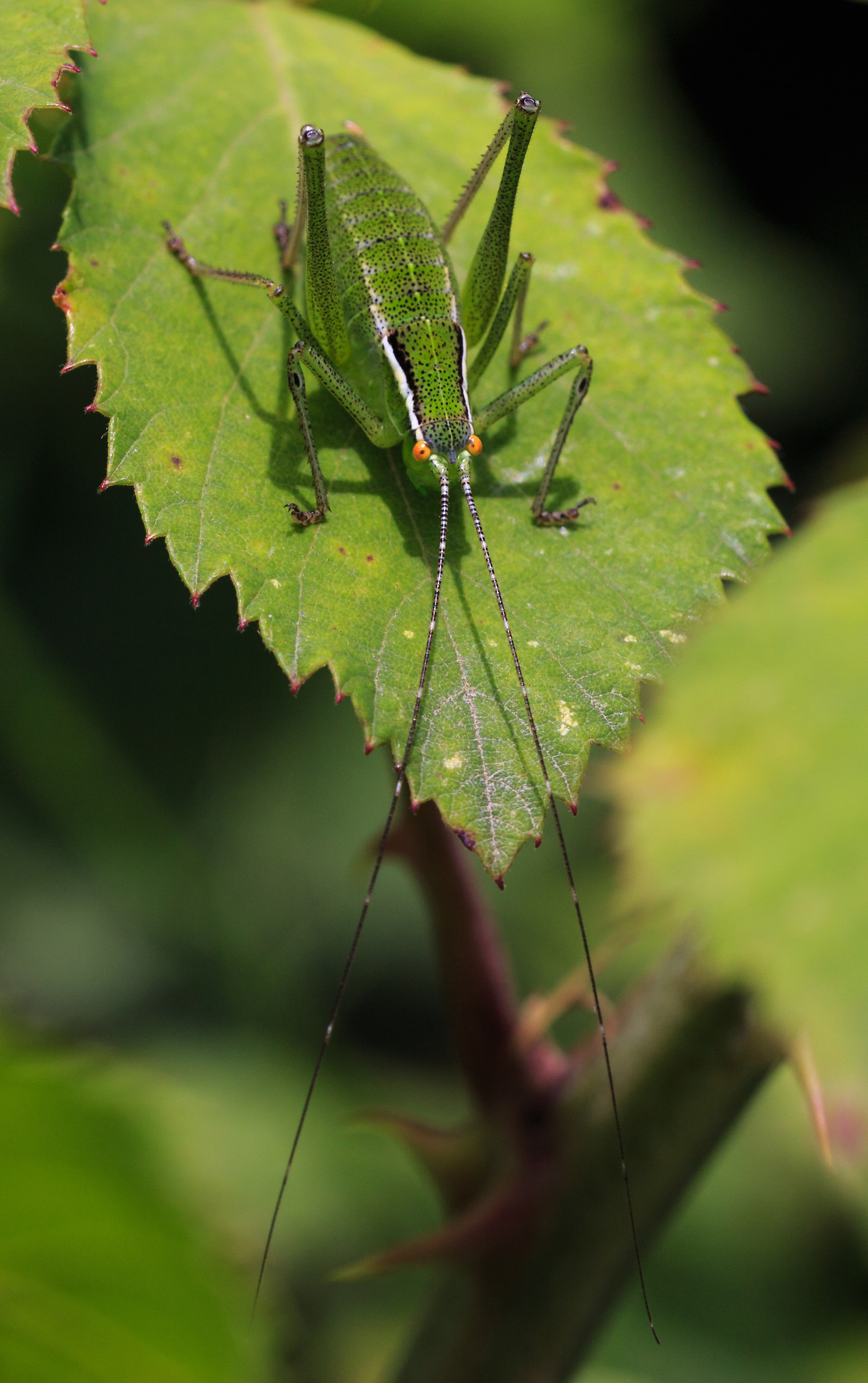 If you get closer you're still bloated!!!!!
