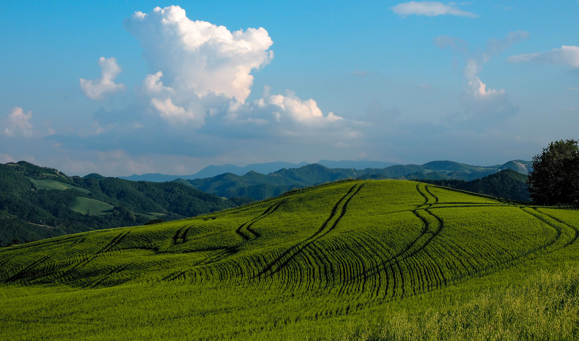 Gli alieni sono arrivati