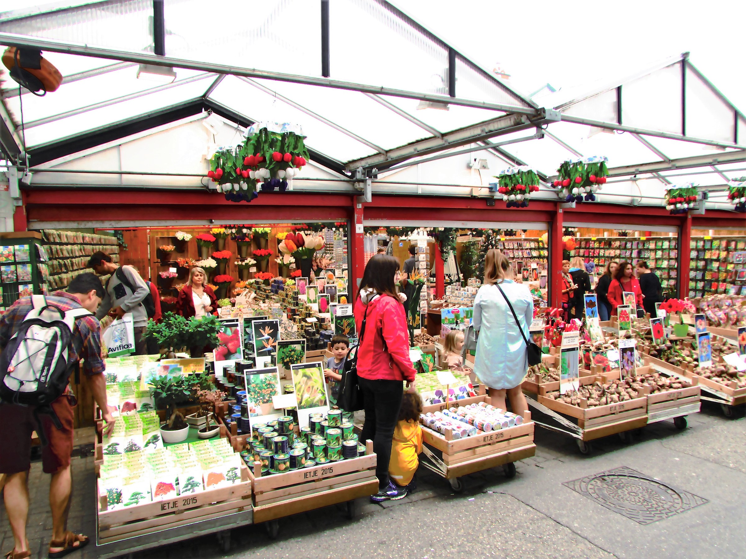 Amsterdam-Flower Market