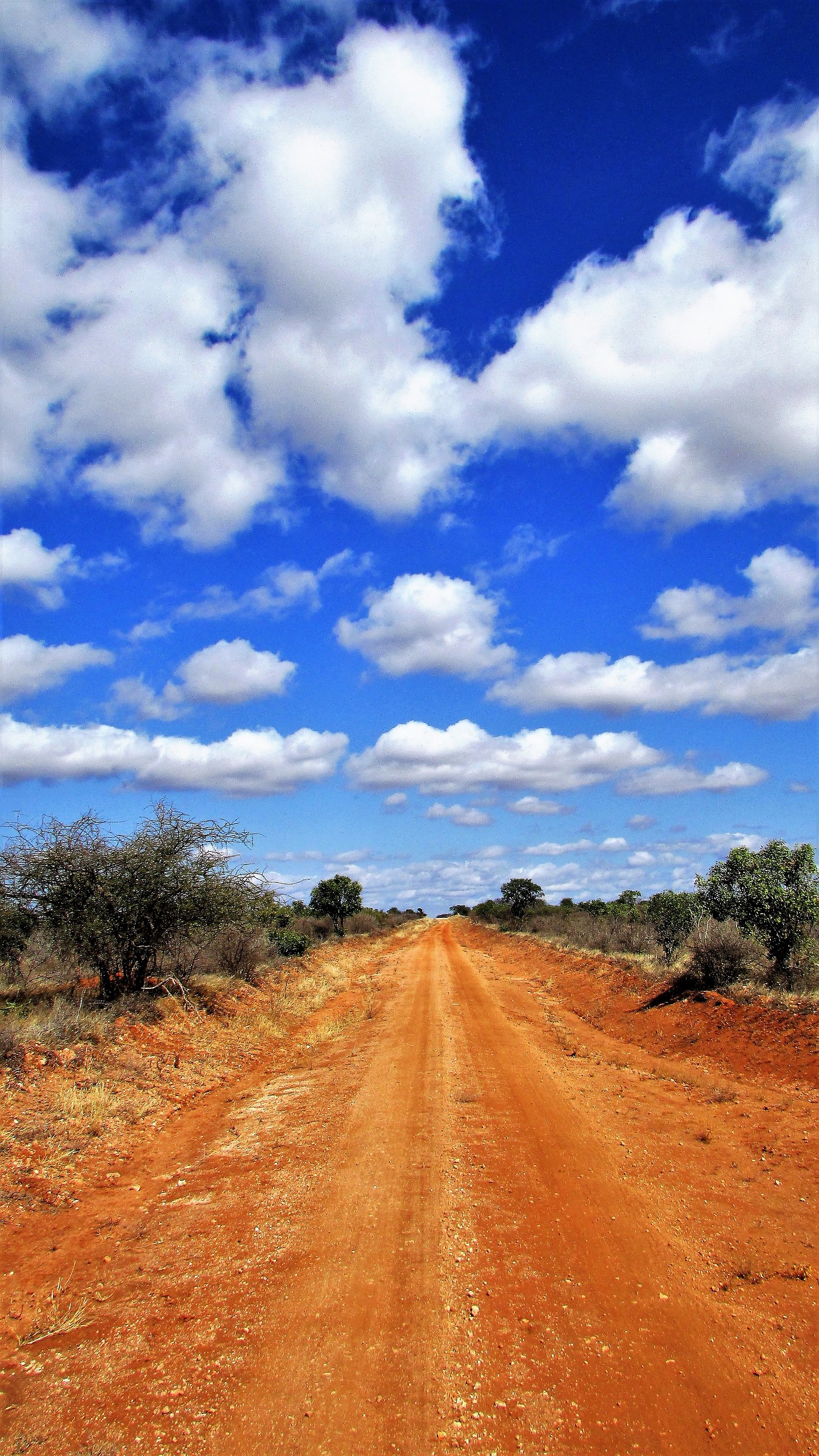 kenya sky