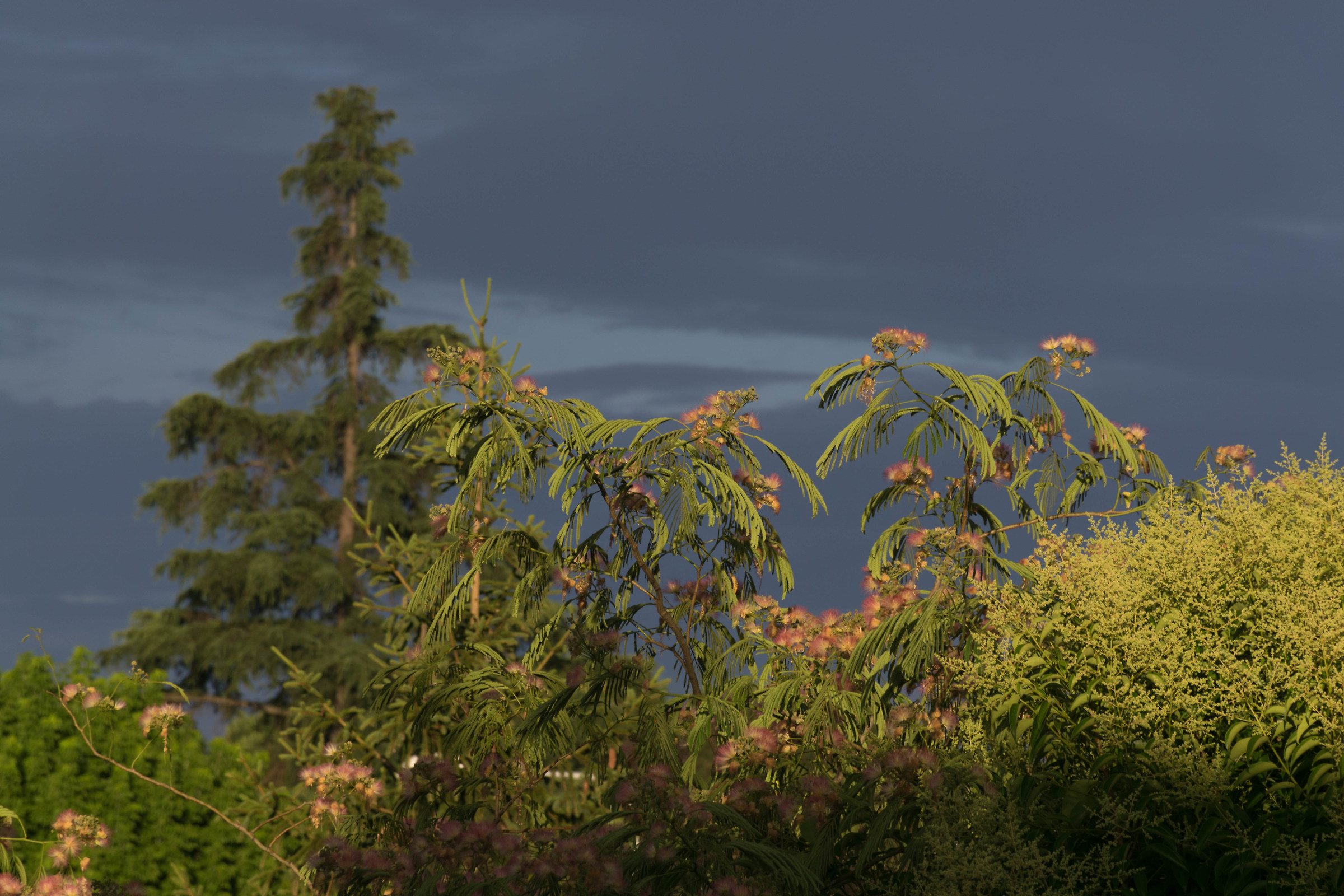 The sun and the thunderstorm