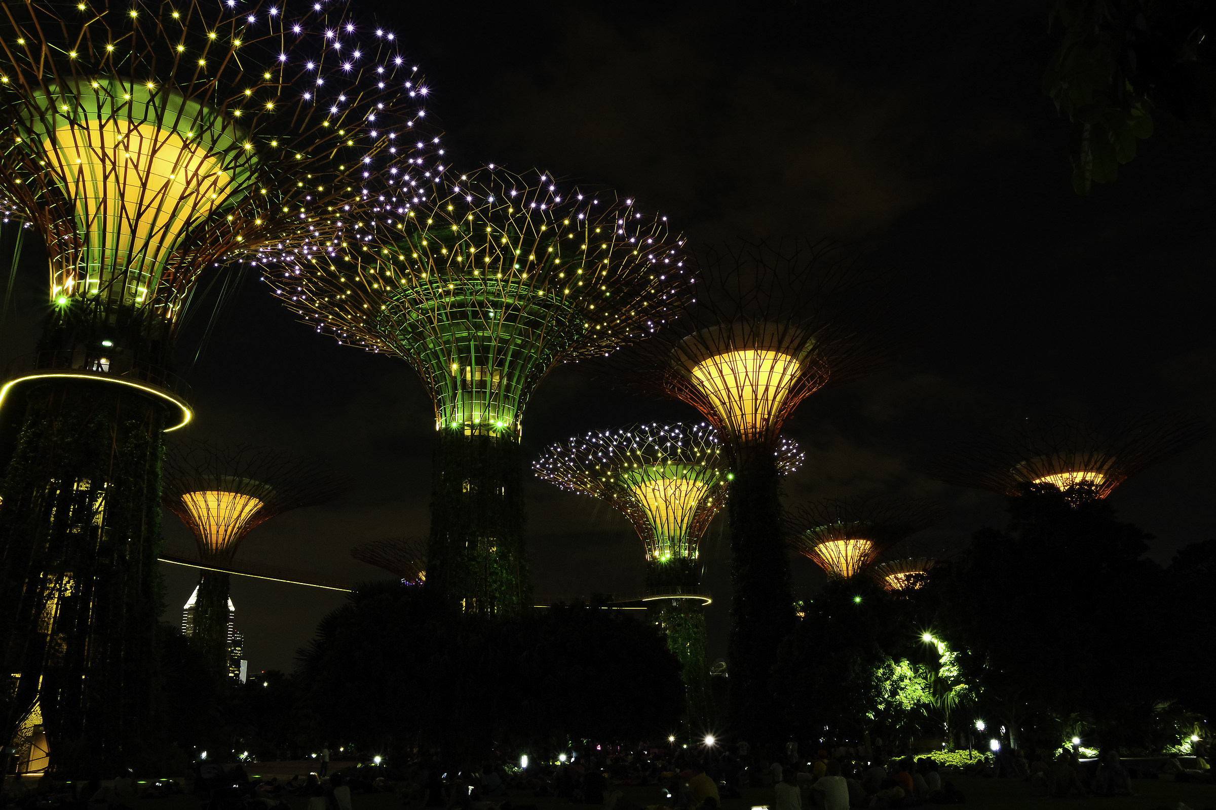 The Night supertrees