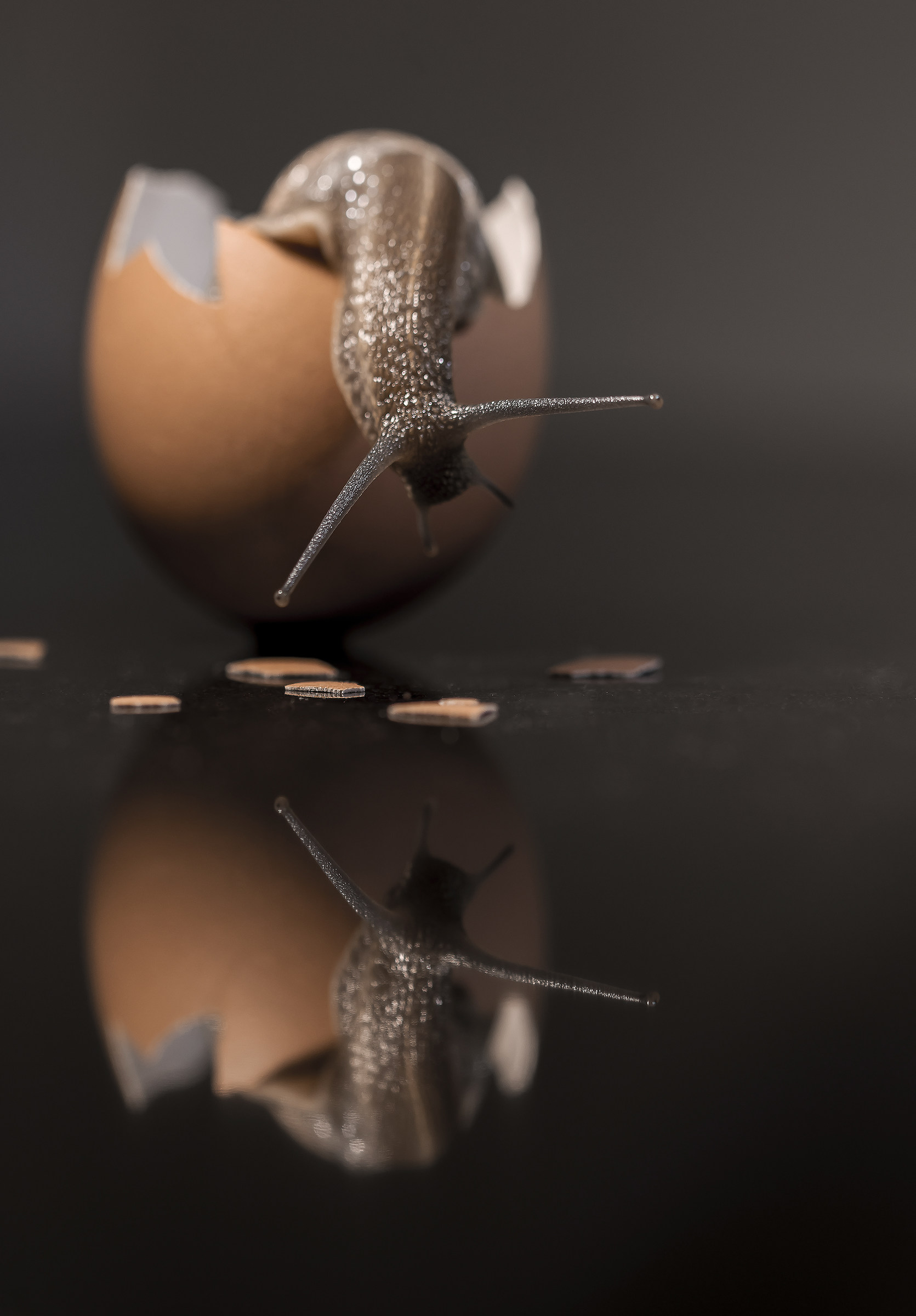 seconda casa con vista mare