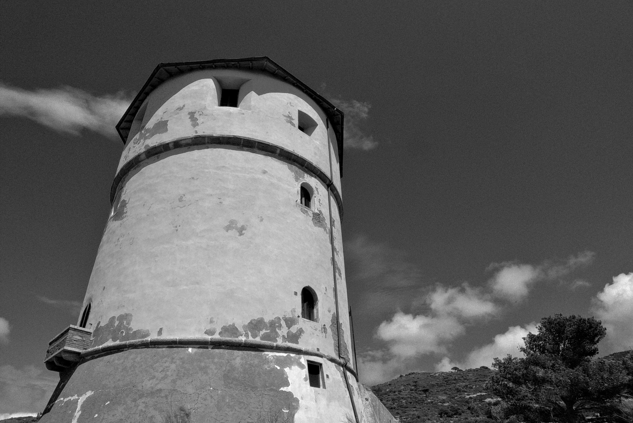 Lily-Watchtower of the Campese