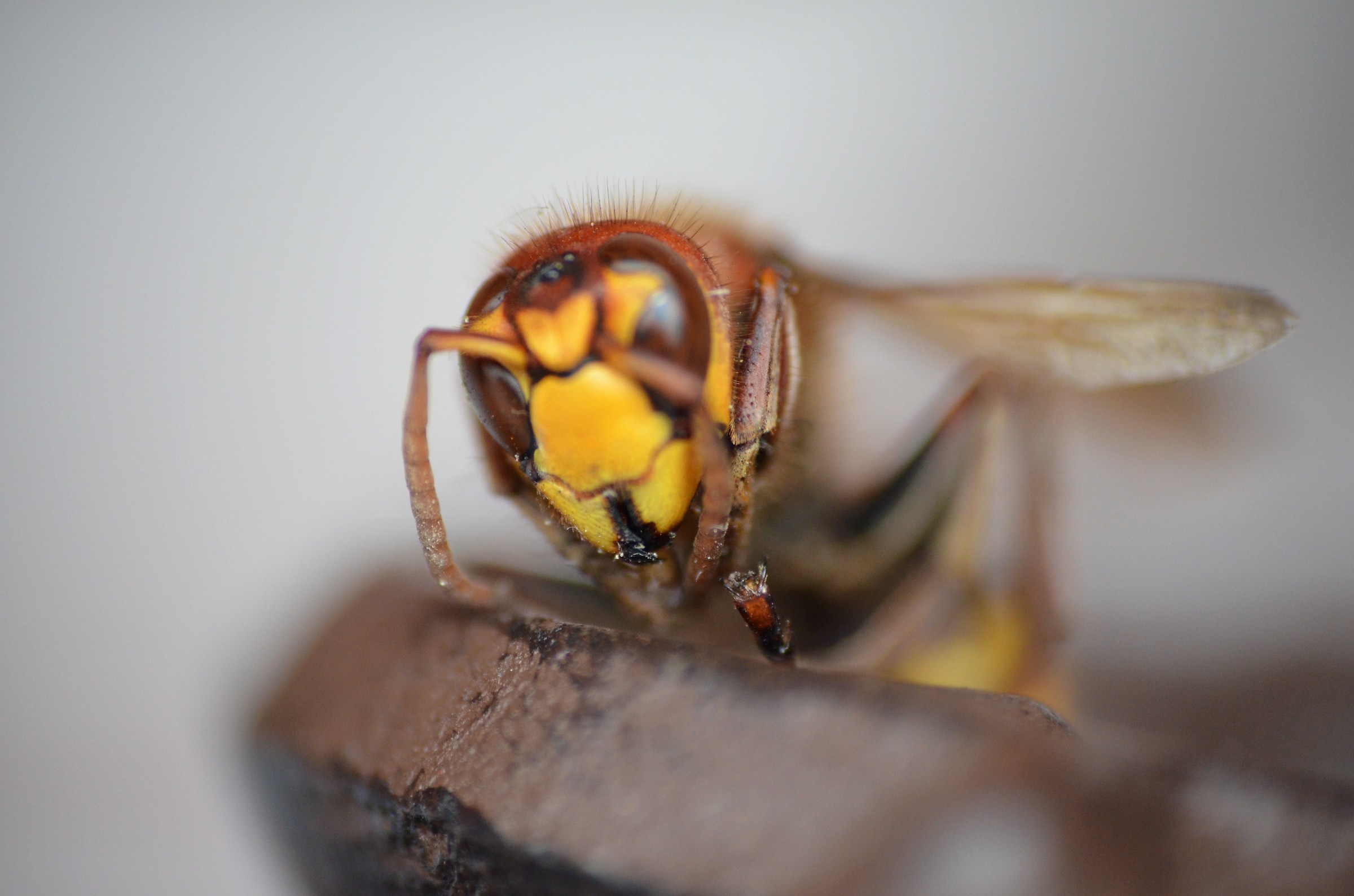 Are you looking at me?