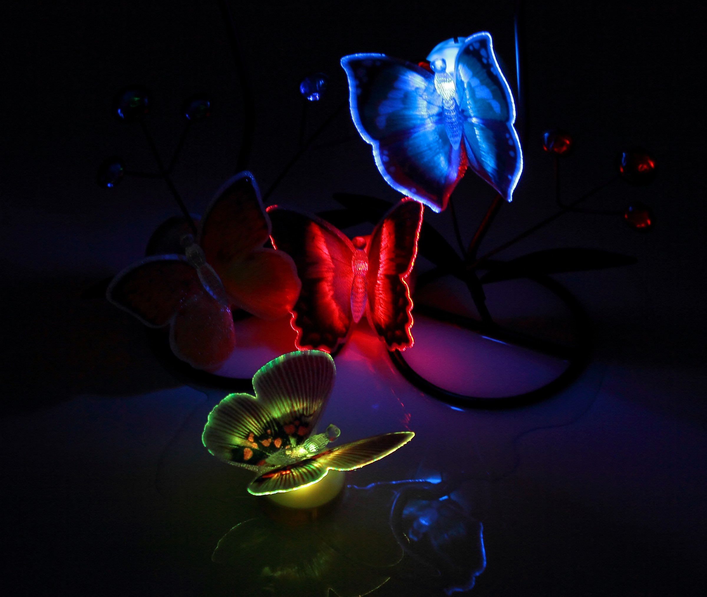 farfalle luminescenti