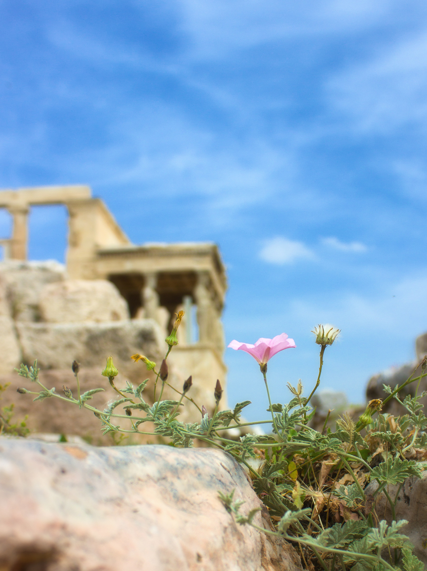 I don't know what name give him