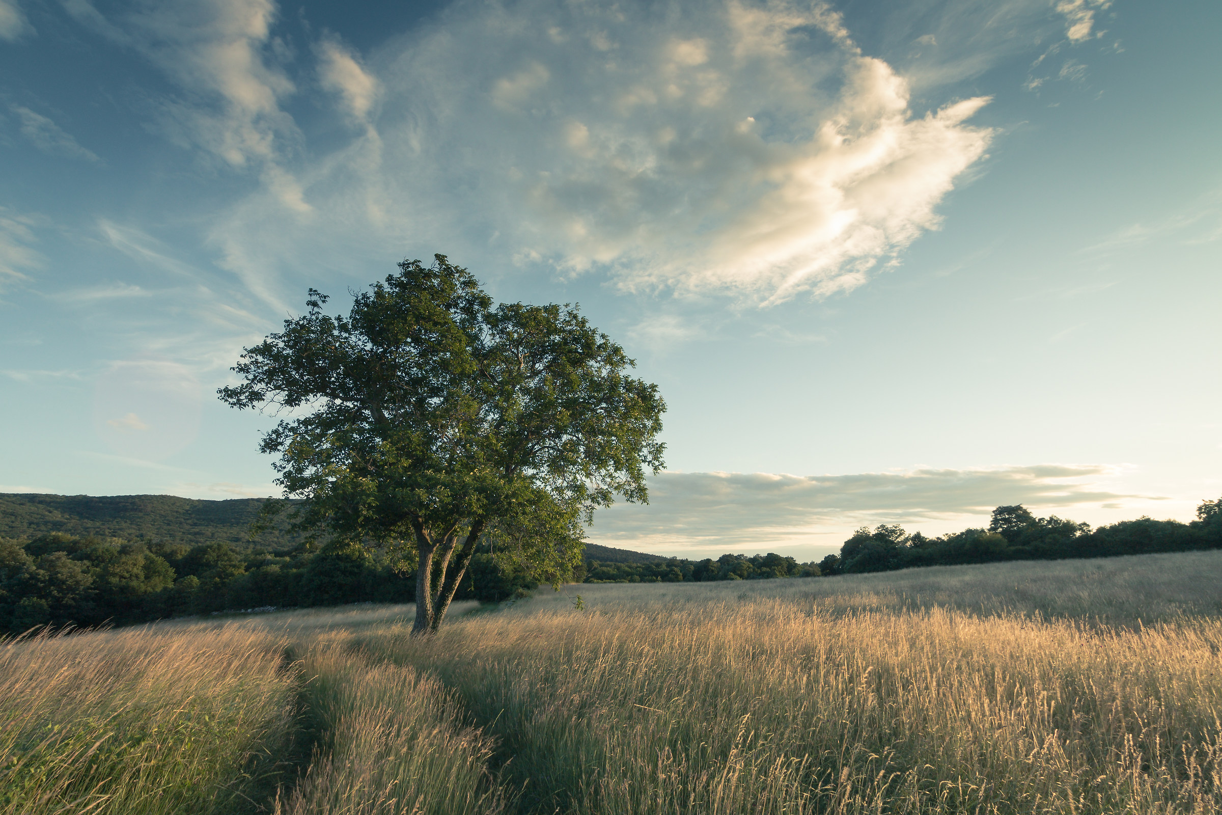 On the other side of the road