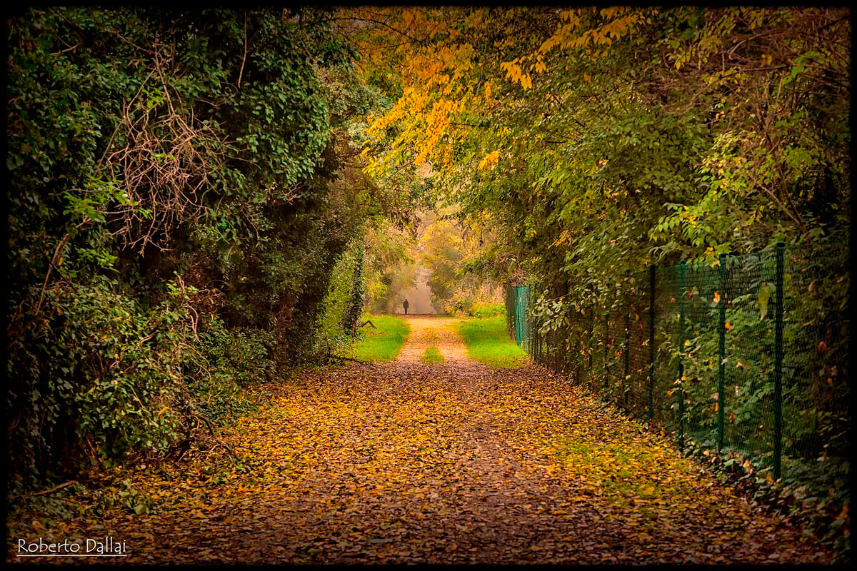 Mantova e i suoi laghi