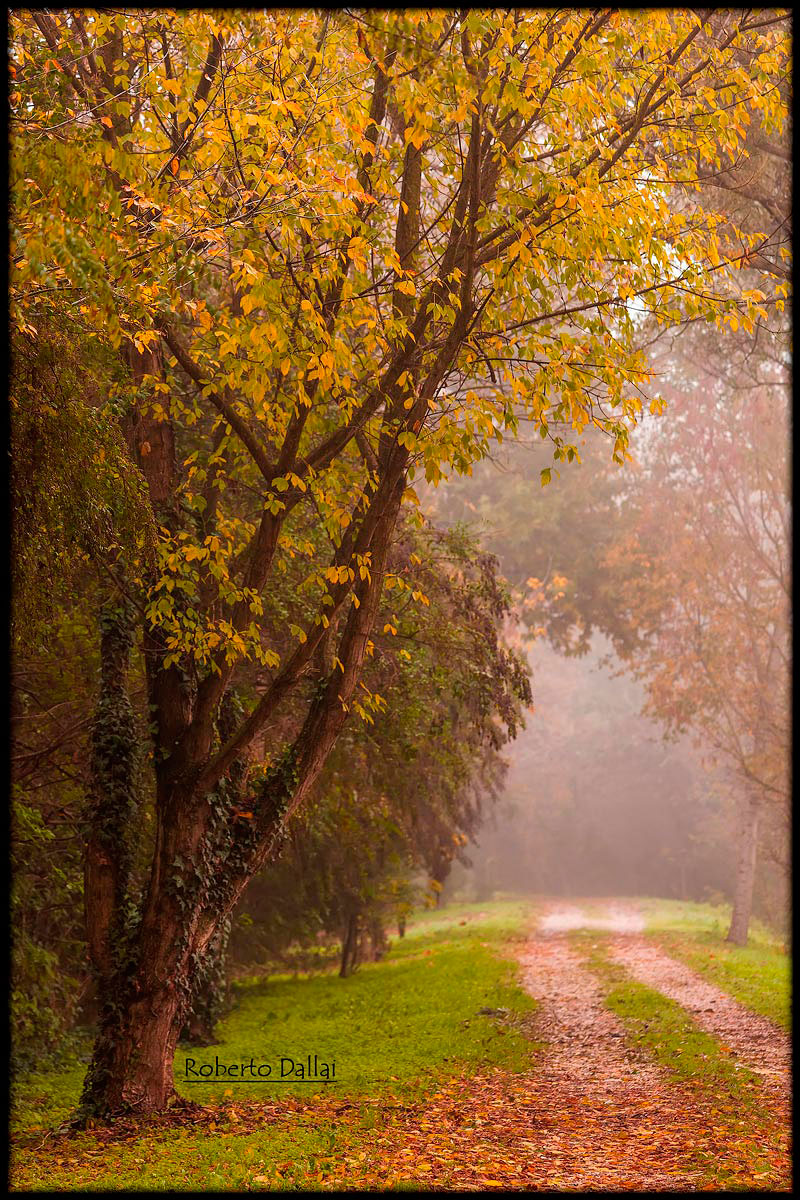 Mantova e i suoi laghi