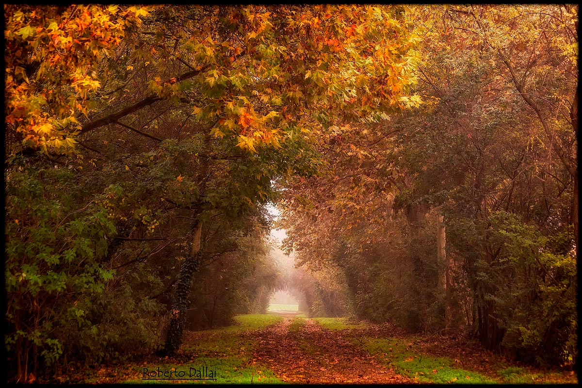 Mantova e i suoi laghi