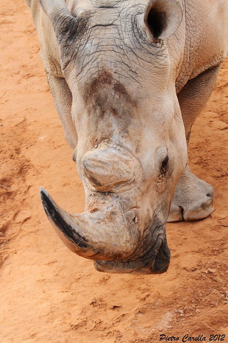 Perspective dangerous