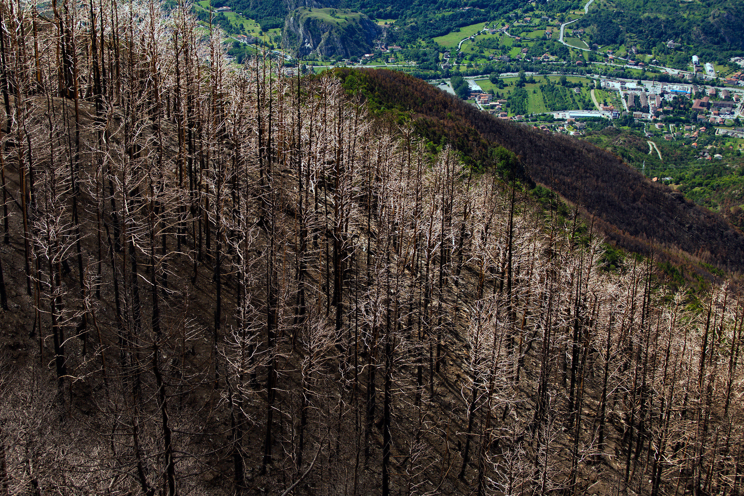 Forest fire, Mompantero