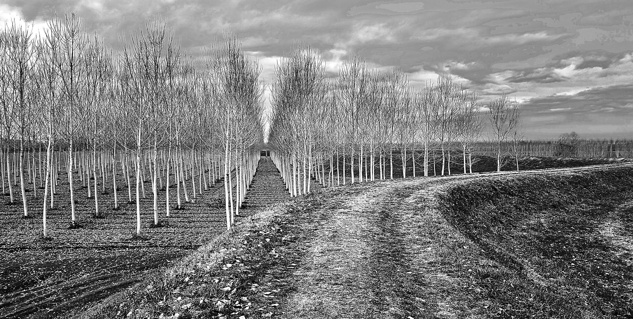 In golena prima della nevicata