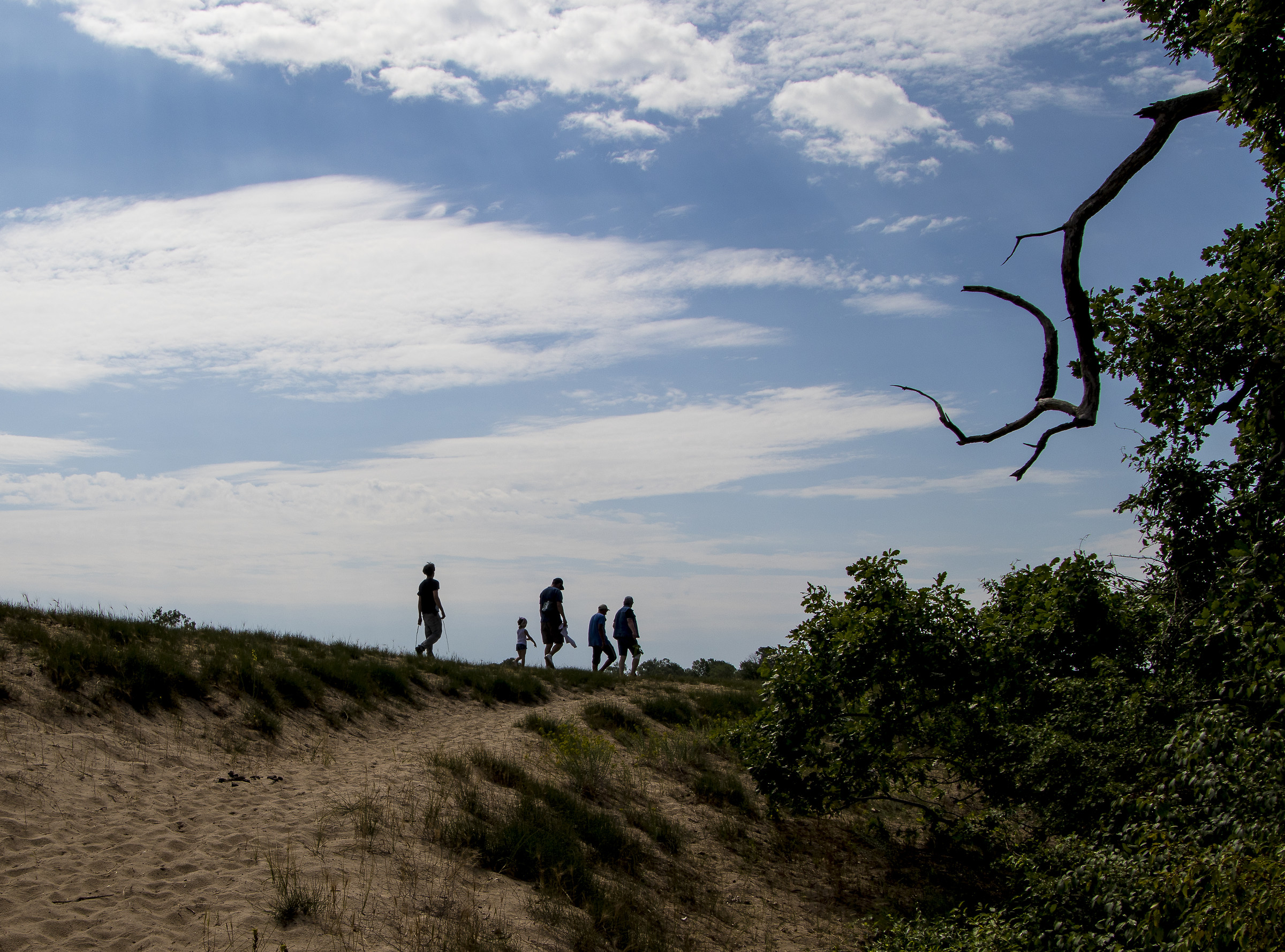 Dune di sabbia del Delta del Danubio