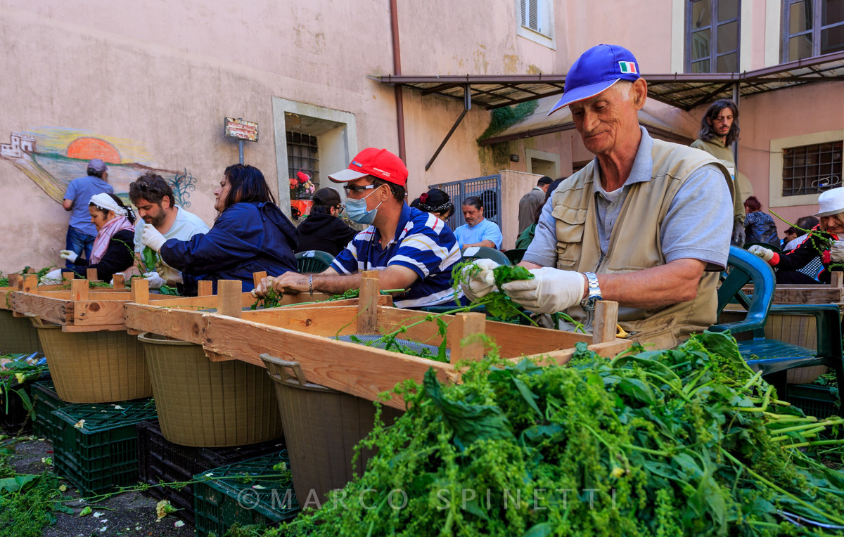 Flowering of the Gallagher-preparations Spelluccamento