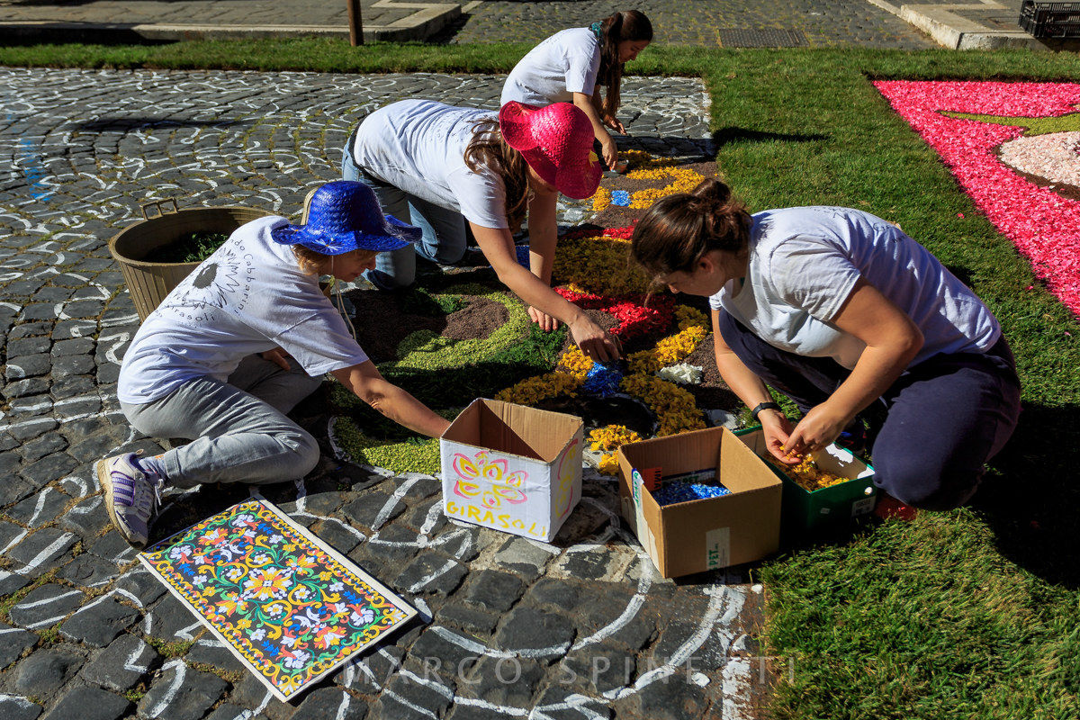 Flowering of the Gallagher-preparation of flowers