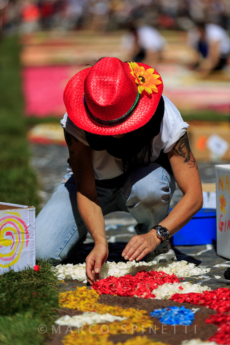 Flowering of the Gallagher-preparation of flowers