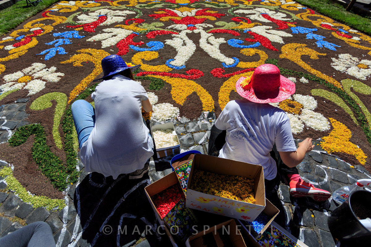 Flowering of the Gallagher-preparation of flowers