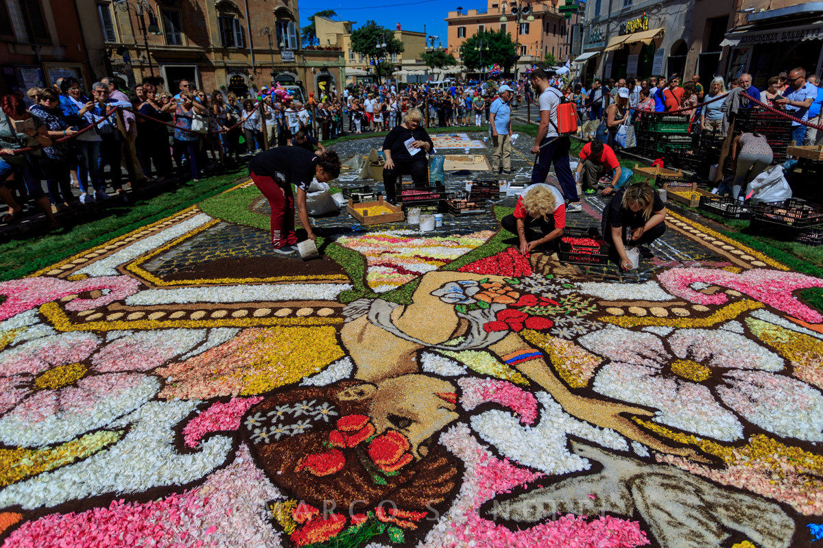 Flowering of the Gallagher-preparation of flowers