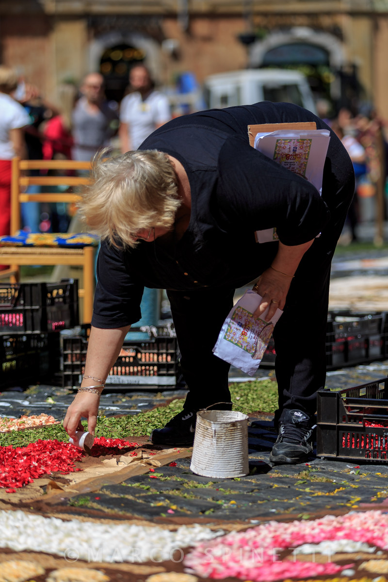 Flowering of the Gallagher-preparation of flowers