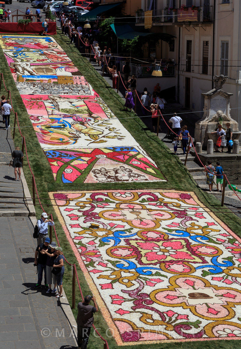 Enfloral of the Gallagher-paintings of the ladders