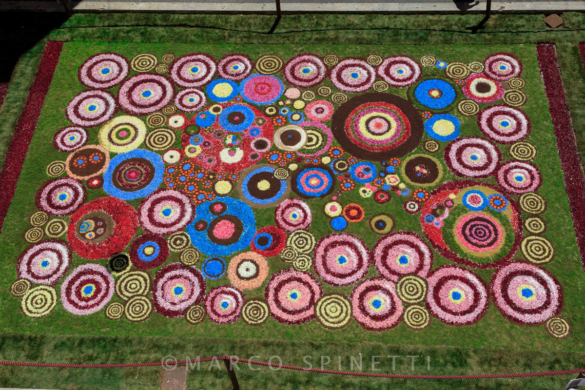 Enflowered by Gallagher-guest artist's picture