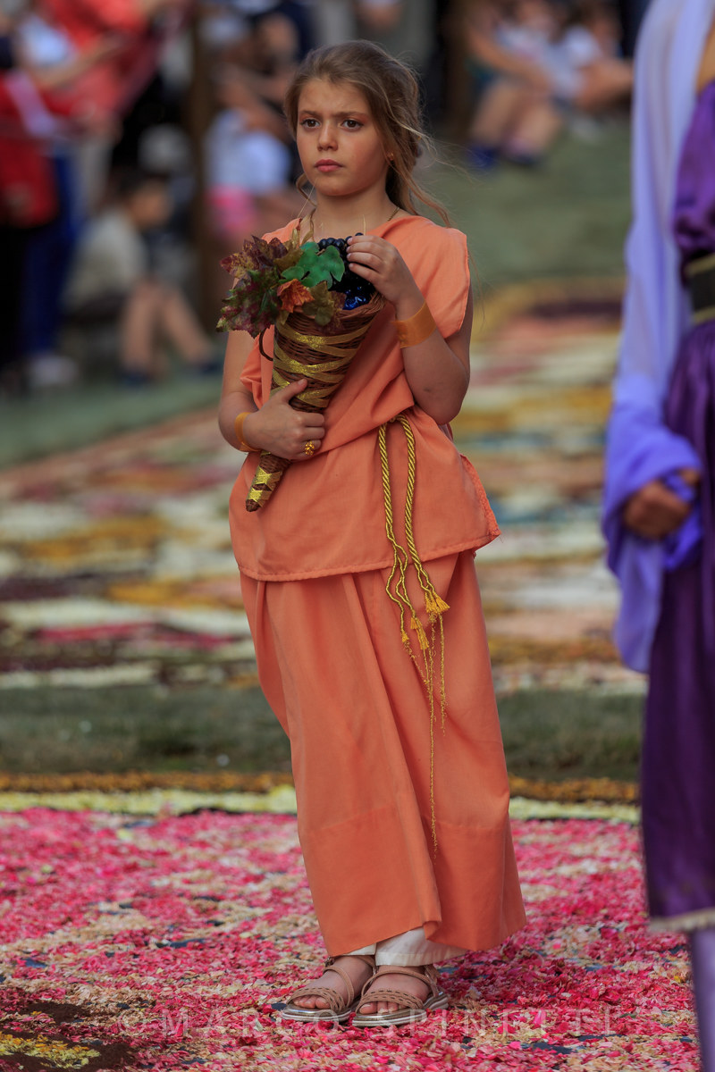 Flowering of the Gallagher-historical parade