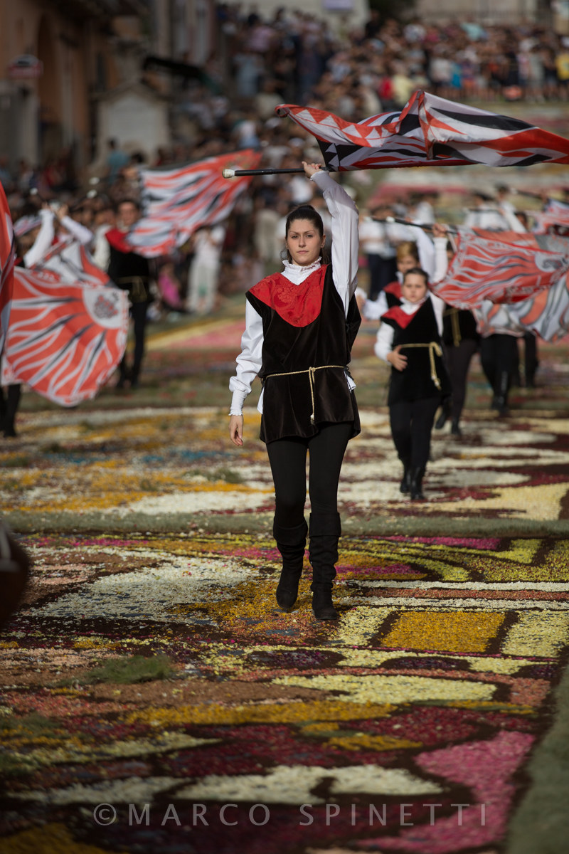 Flowering of Gallagher-flag-waving