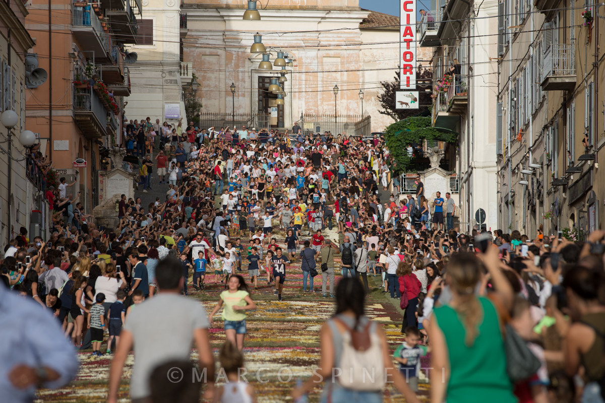 The flowering of the Gallagher-the