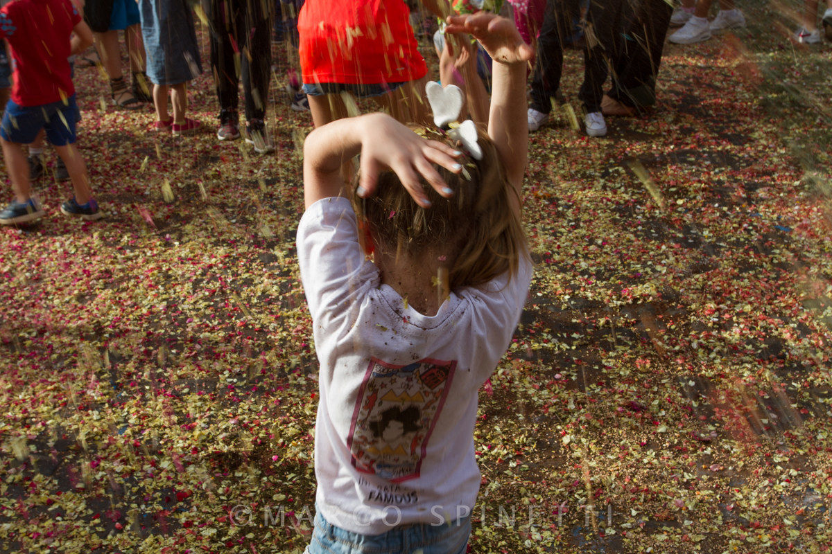 The flowering of the Gallagher-the