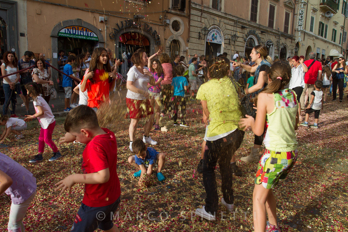 The flowering of the Gallagher-the