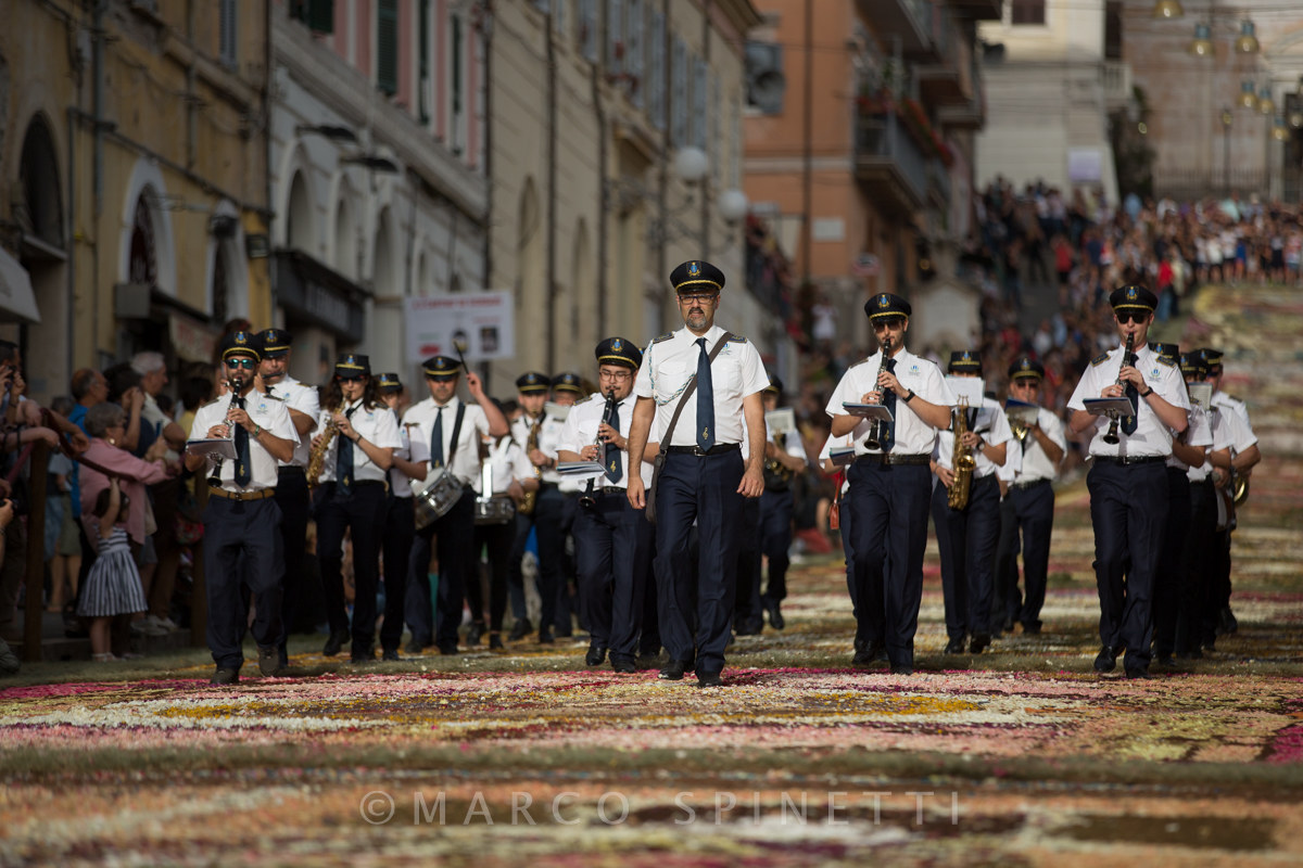 Flower of the Gallagher-the band