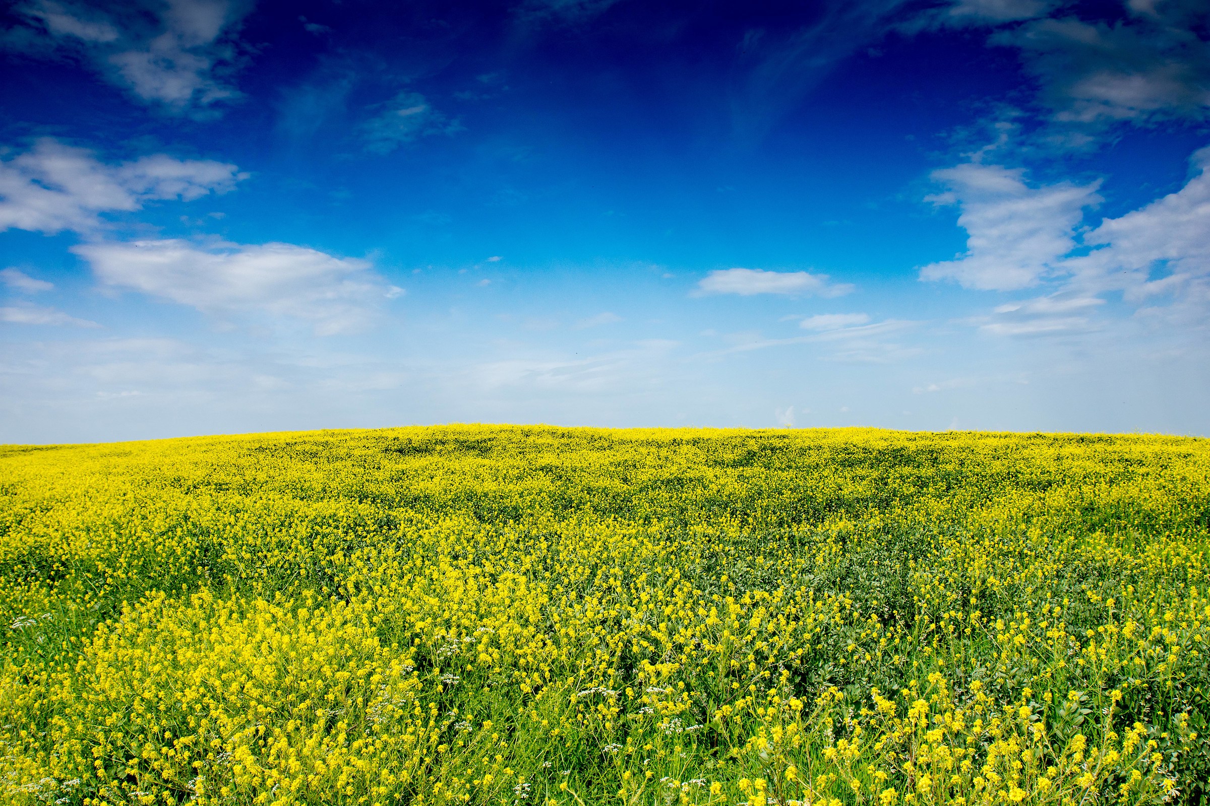 Verso l'infinito e oltre...
