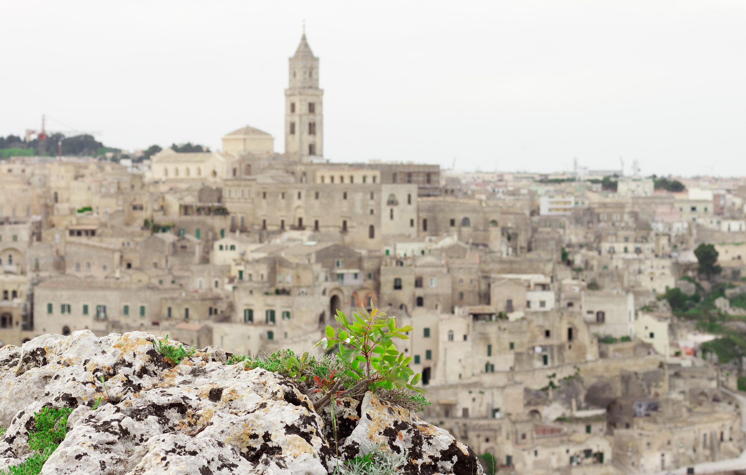 Matera