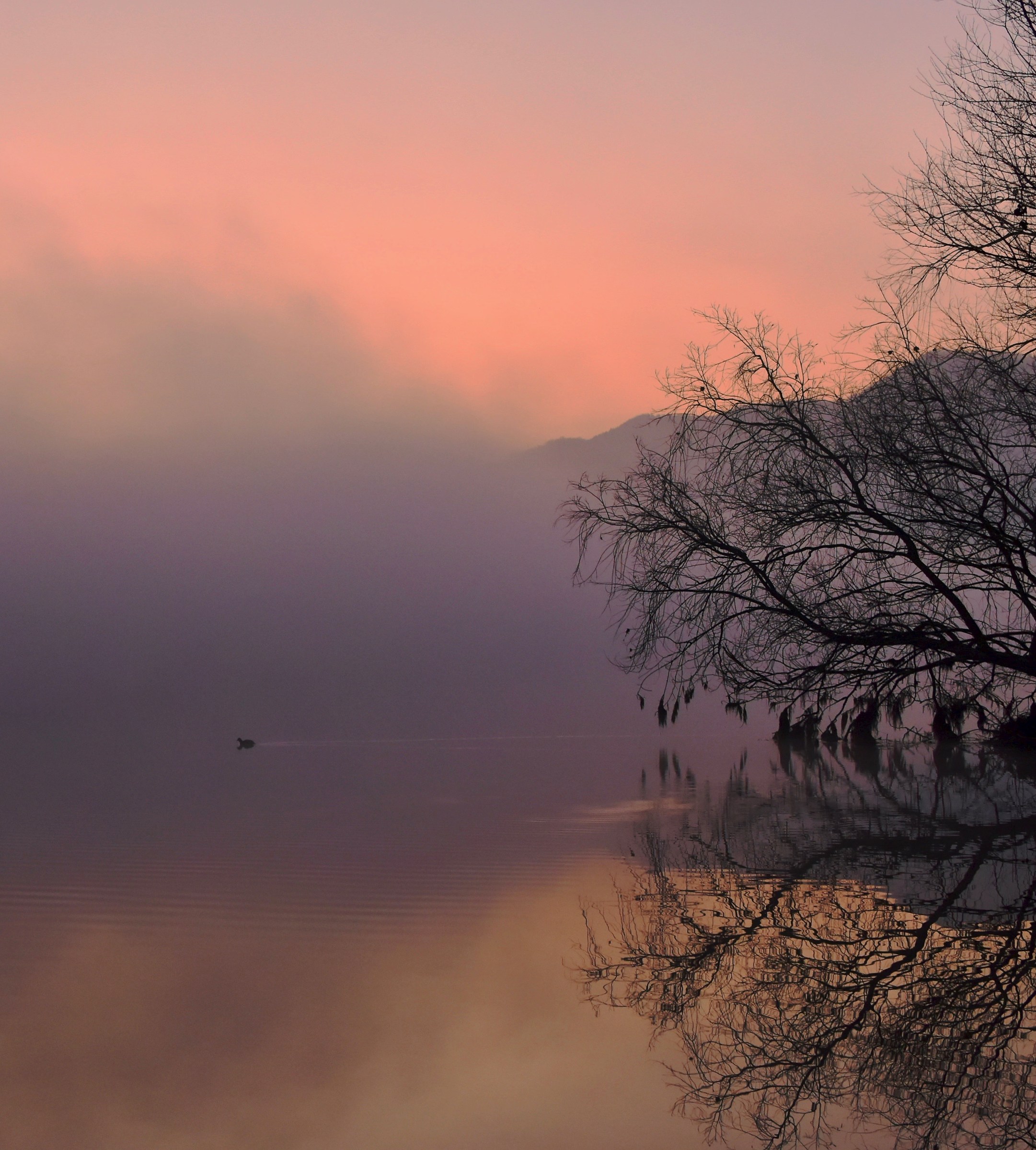 First light on the ' Adda