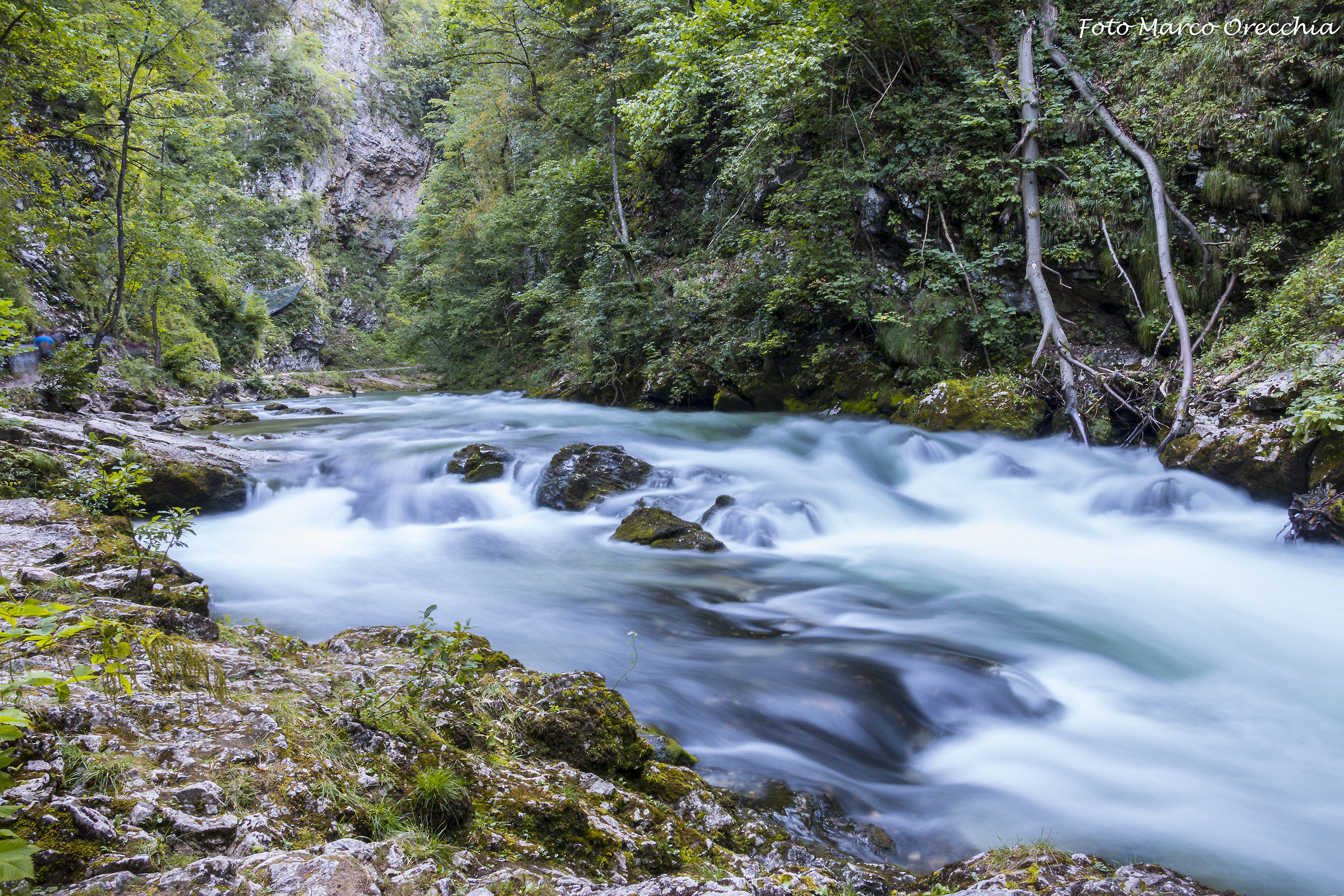 The gorge of Vintgar (Slovenia)