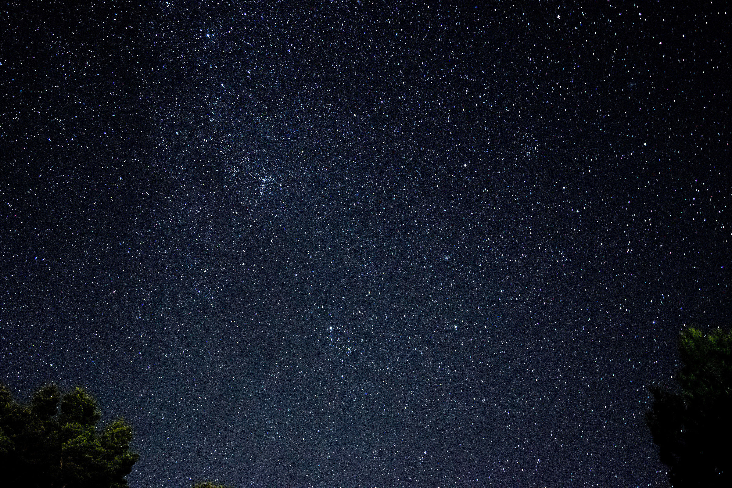 Semplicemente insignificanti