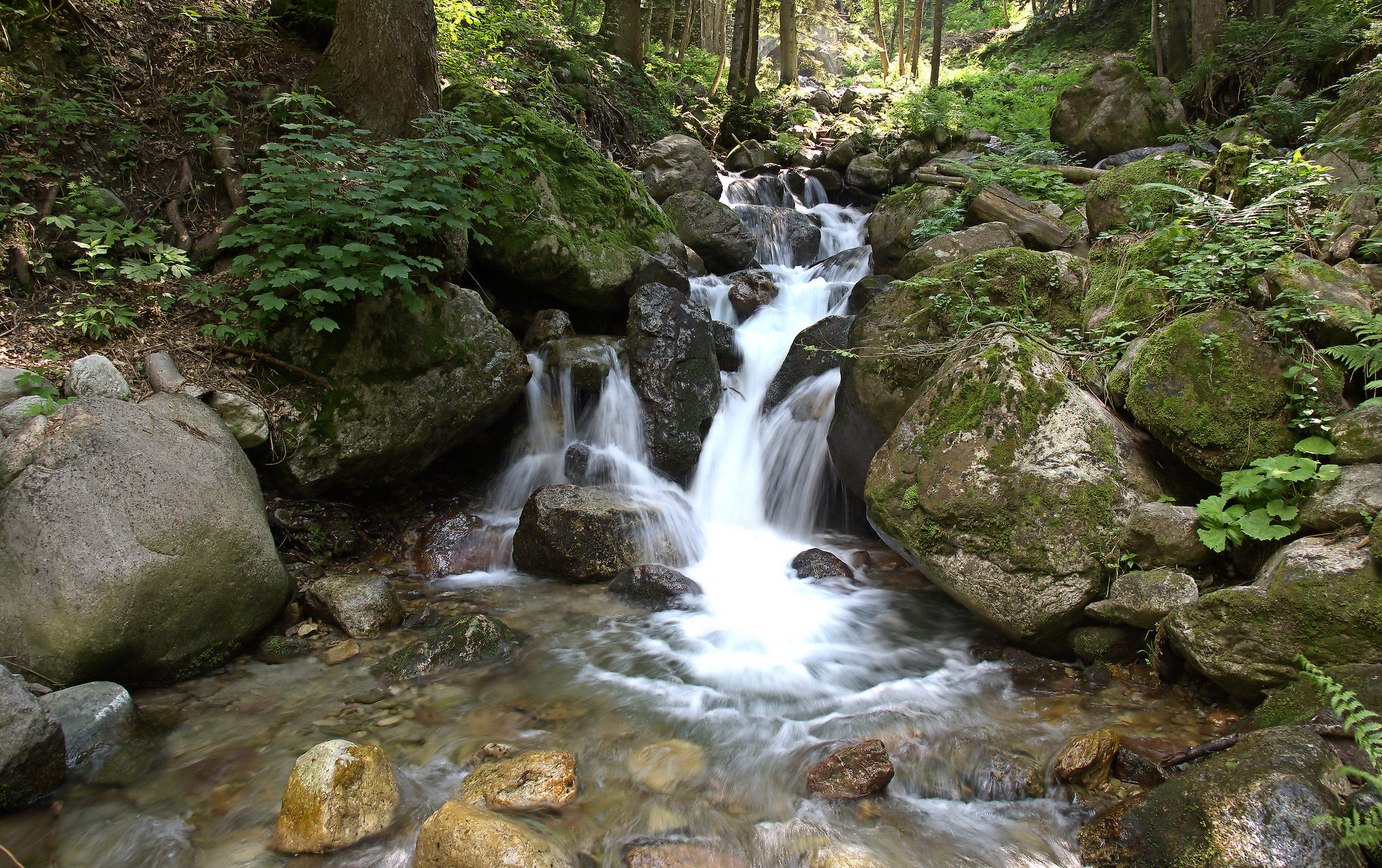 Valley Falls Weights