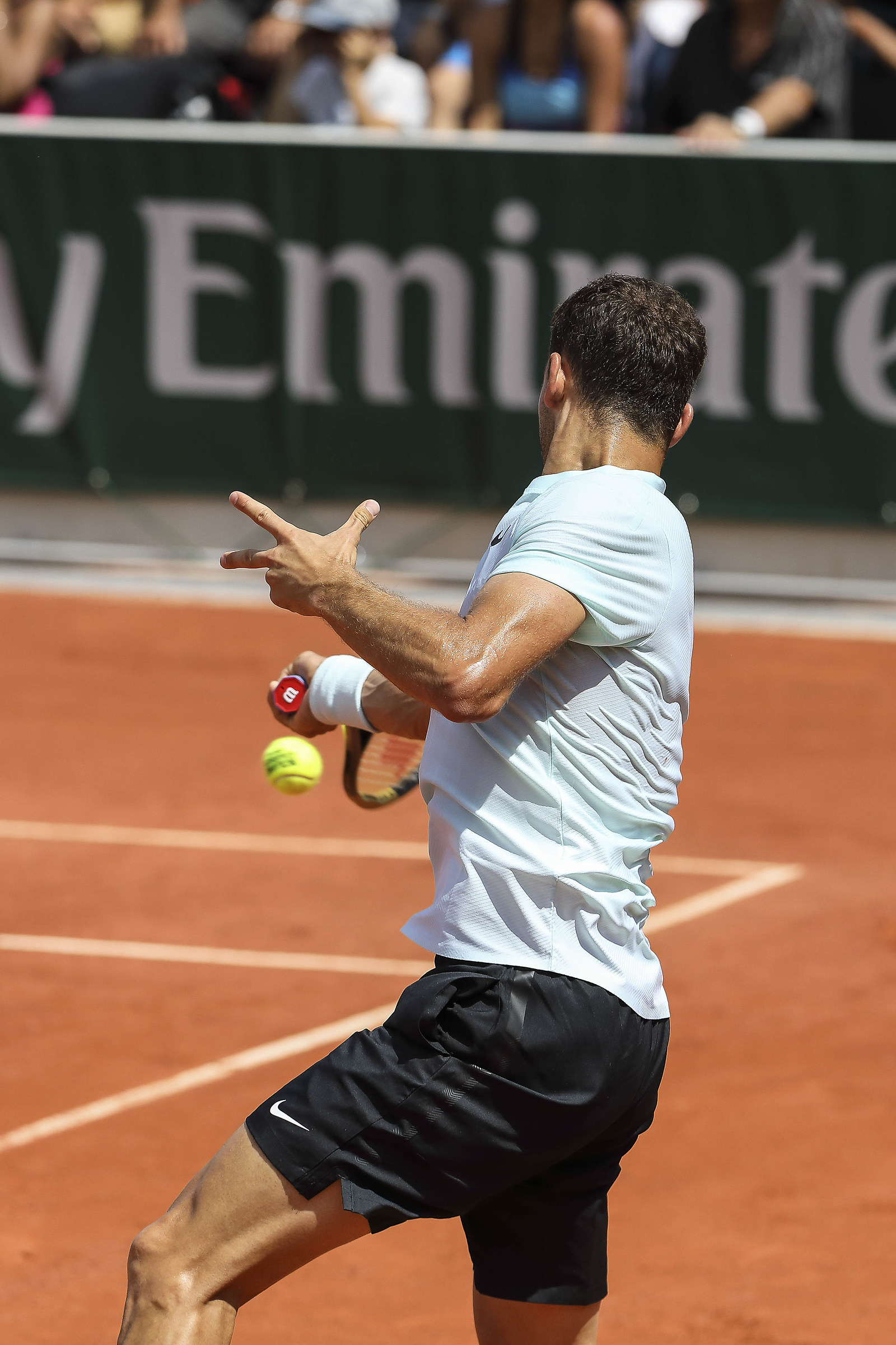 Grigor Dimitrov 2