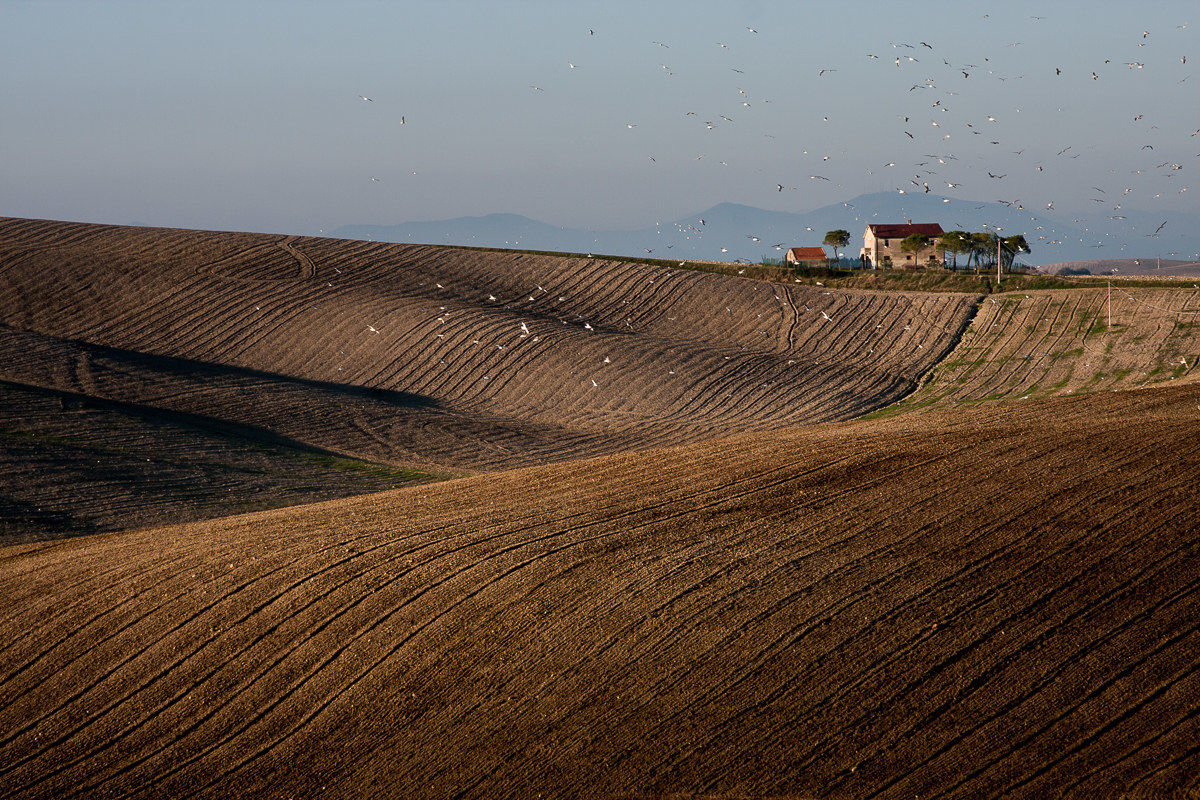 Like a precious rug...