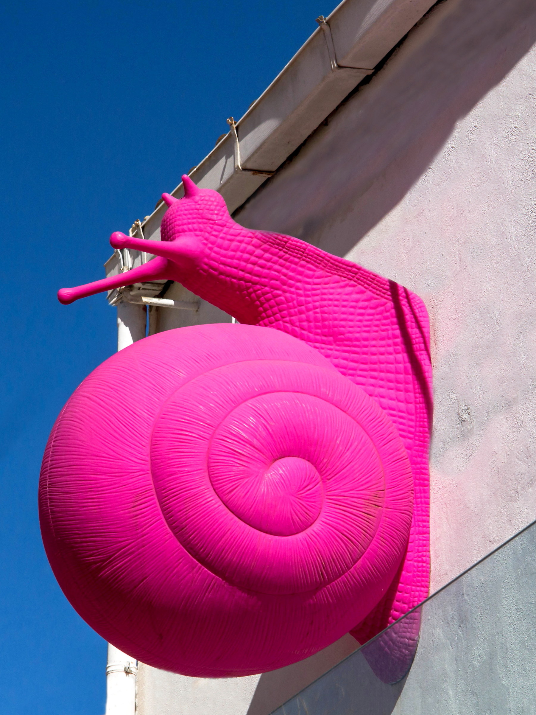 Dove vai bella lumachina? senza ali non si vola!